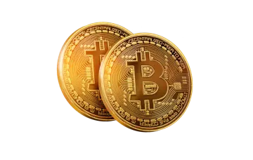 a pair of gold bitcoin coins