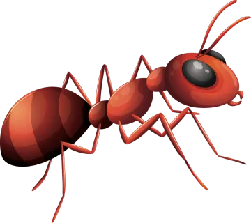 illustration of a red ant ant