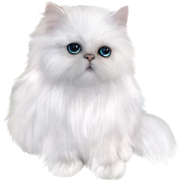 a white cat with blue eyes