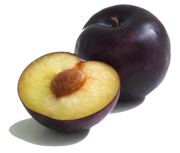 two plums on a white background