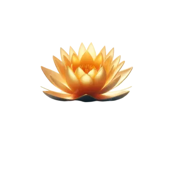 a yellow lotus flower on a white background