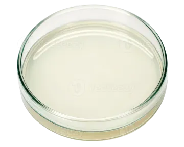 a glass bowl filled with white liquid