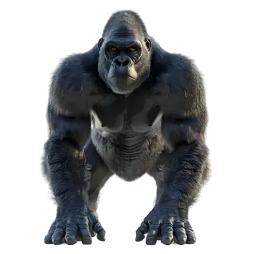 a gorilla standing in front of a white background