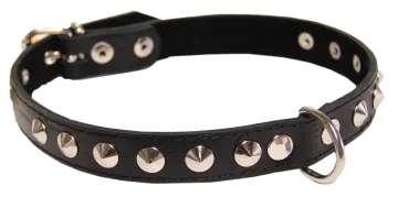a black leather dog collar with silver studs