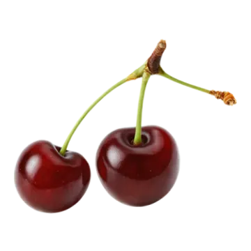two chers on a white background
