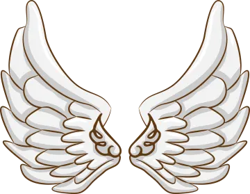 a pair of white wings on a white background