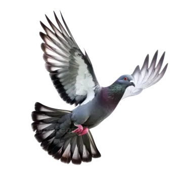 a bird flying in the air with its wings spread