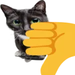 a cat is pointing at the camera