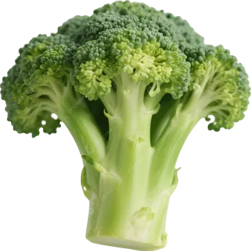 a close up of a piece of broccote