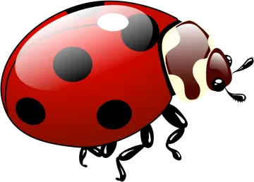 ladybug clipart - lady bug clip art
