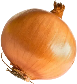 a close up of an onion on a white background