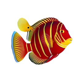a red and yellow fish