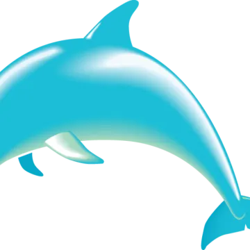 a dolphin jumping out of the water