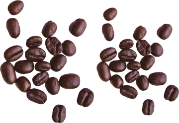 coffee beans on a white background