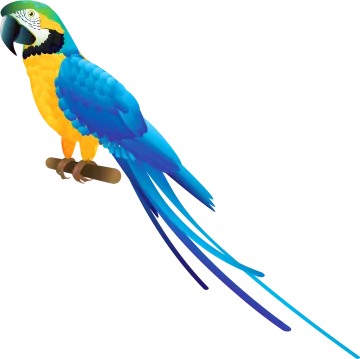 a blue and yellow parrot perched on a branch
