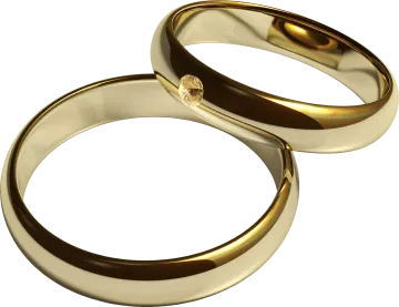 a pair of gold wedding rings