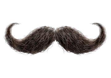 a pair of mustaches on a white background