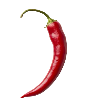 a red chili pepper on a white background