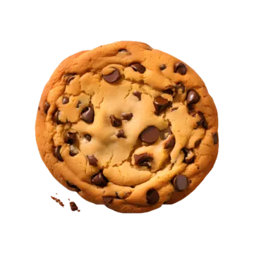 a chocolate chip cookie on a white background