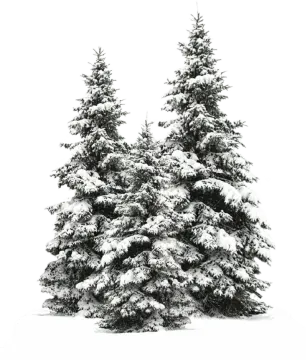 a small christmas tree covered in snow