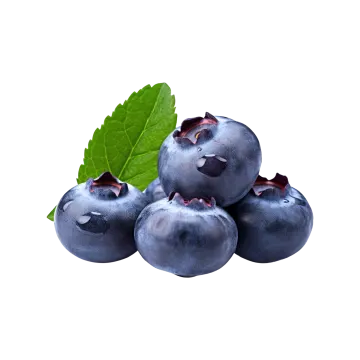 blueberries with leaves on white background