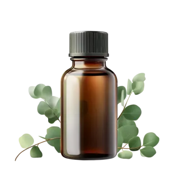 a bottle of eucalyptus essential oil with leaves