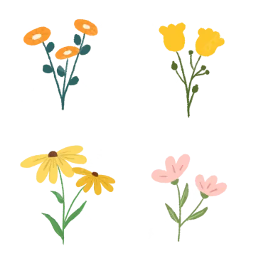 a set of four flower illustrations