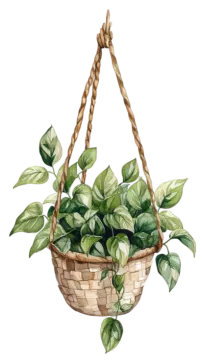 a watercolor painting of a plant in a basket