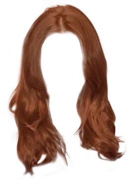 a brown wig with long hair
