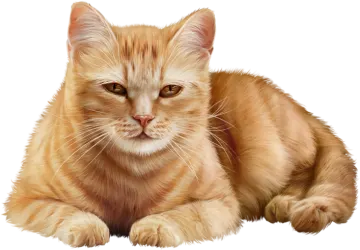a painting of a cat