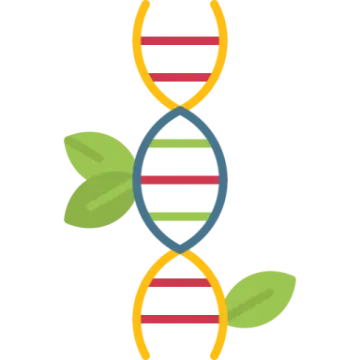 a dna with two strands and leaves on it