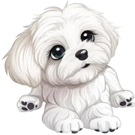 a small white dog with big blue eyes