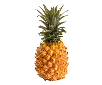 a pineapple on a white background