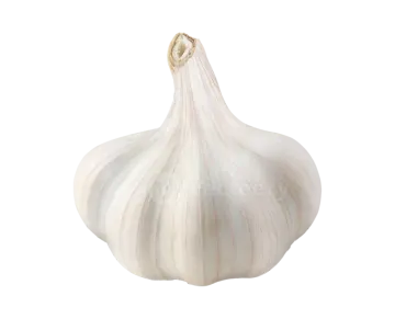 a garlic bulb on a white background