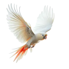 a bird flying in the air with its wings spread
