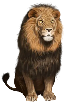an illustration of a lion
