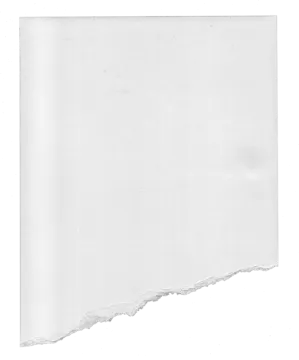 a torn piece of paper on a white background