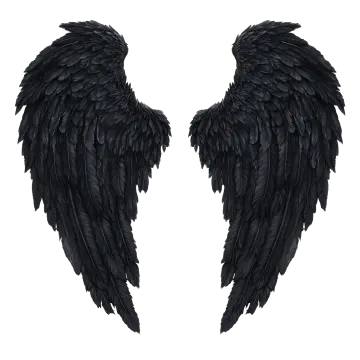 two black wings on a white background