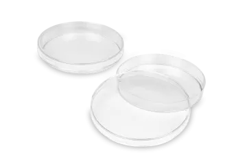 a pair of clear glasses on a white background