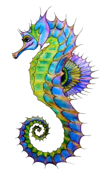 a watercolor drawing of a seahorse