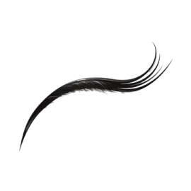 a black feather on a white background
