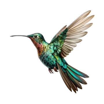 a bird that is flying in the air