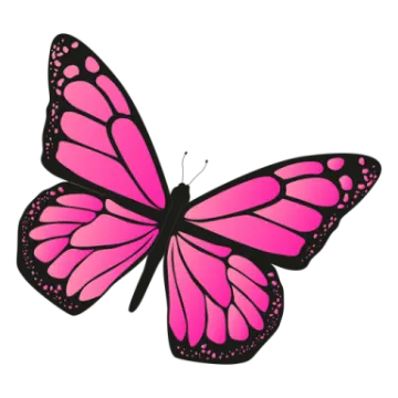 a pink butterfly on a white background