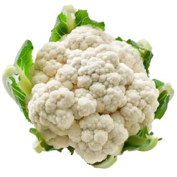 a head of caulide on a white background
