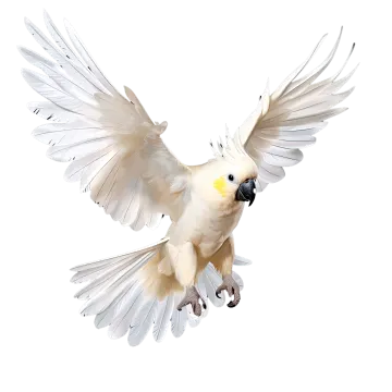 a white bird flying in the air