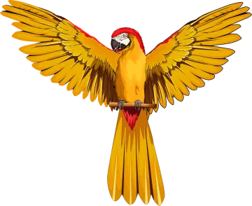 a yellow and red parrot with its wings spread