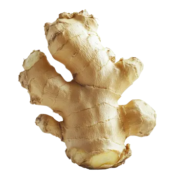 a close up of a ginger on a white background