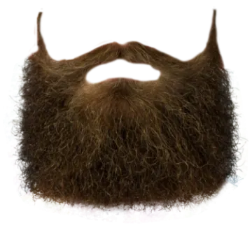 a close up of a beard on a white background