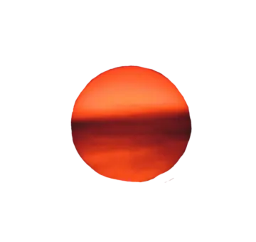 an orange circle on a white background