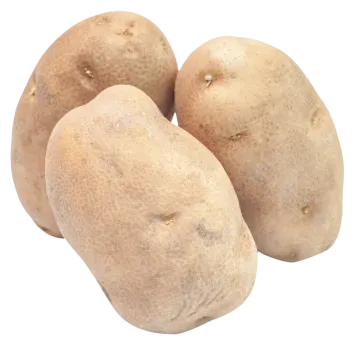 three pears on a white background